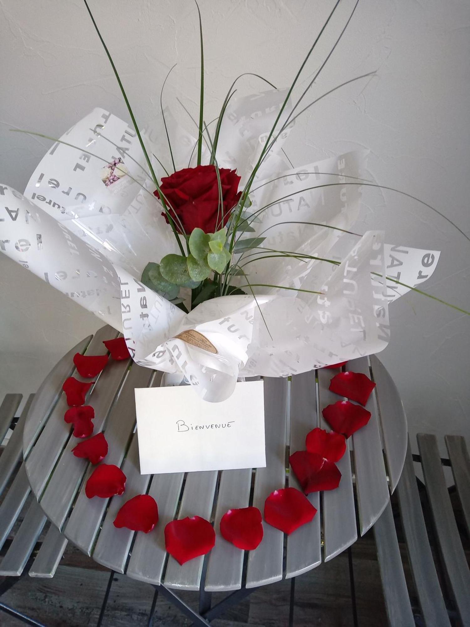 Studio Les Coquelicots Saint-Romain-sur-Cher المظهر الخارجي الصورة