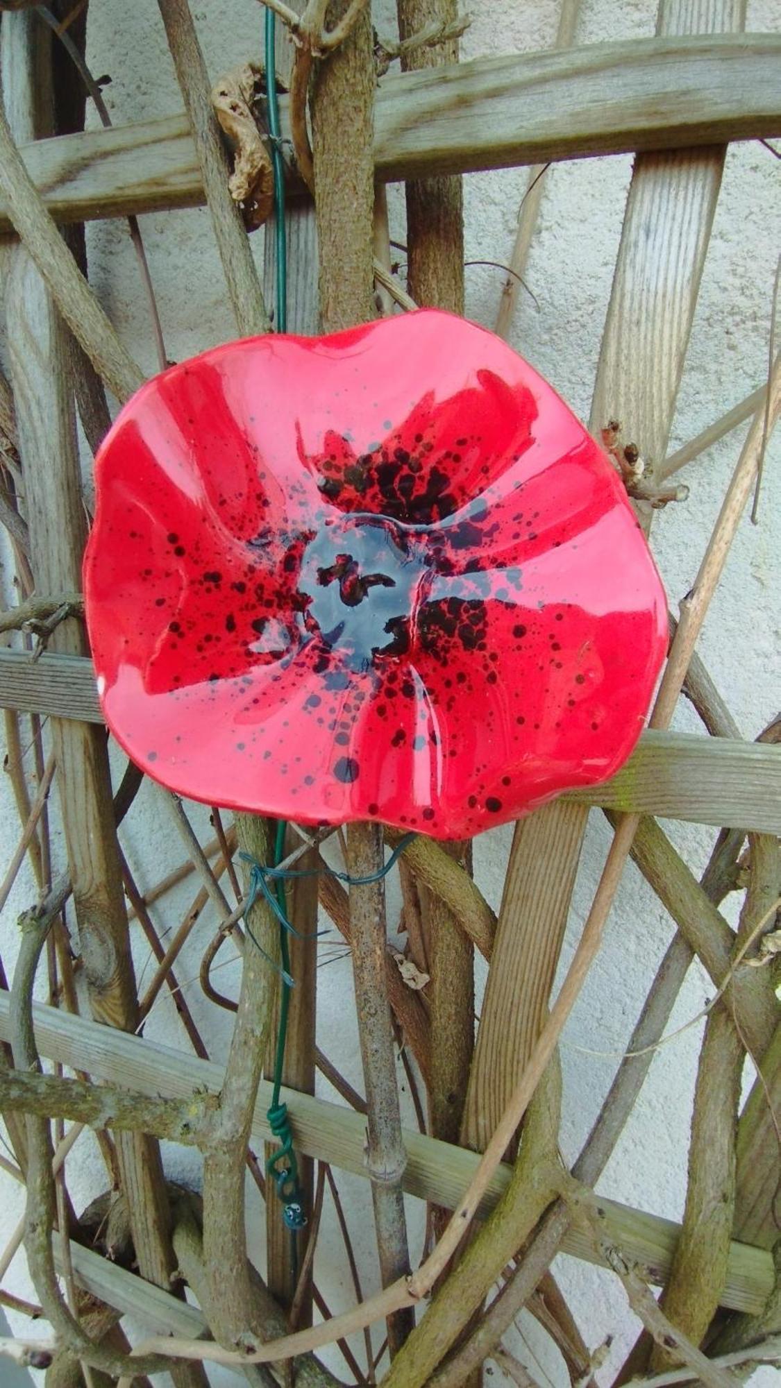Studio Les Coquelicots Saint-Romain-sur-Cher المظهر الخارجي الصورة